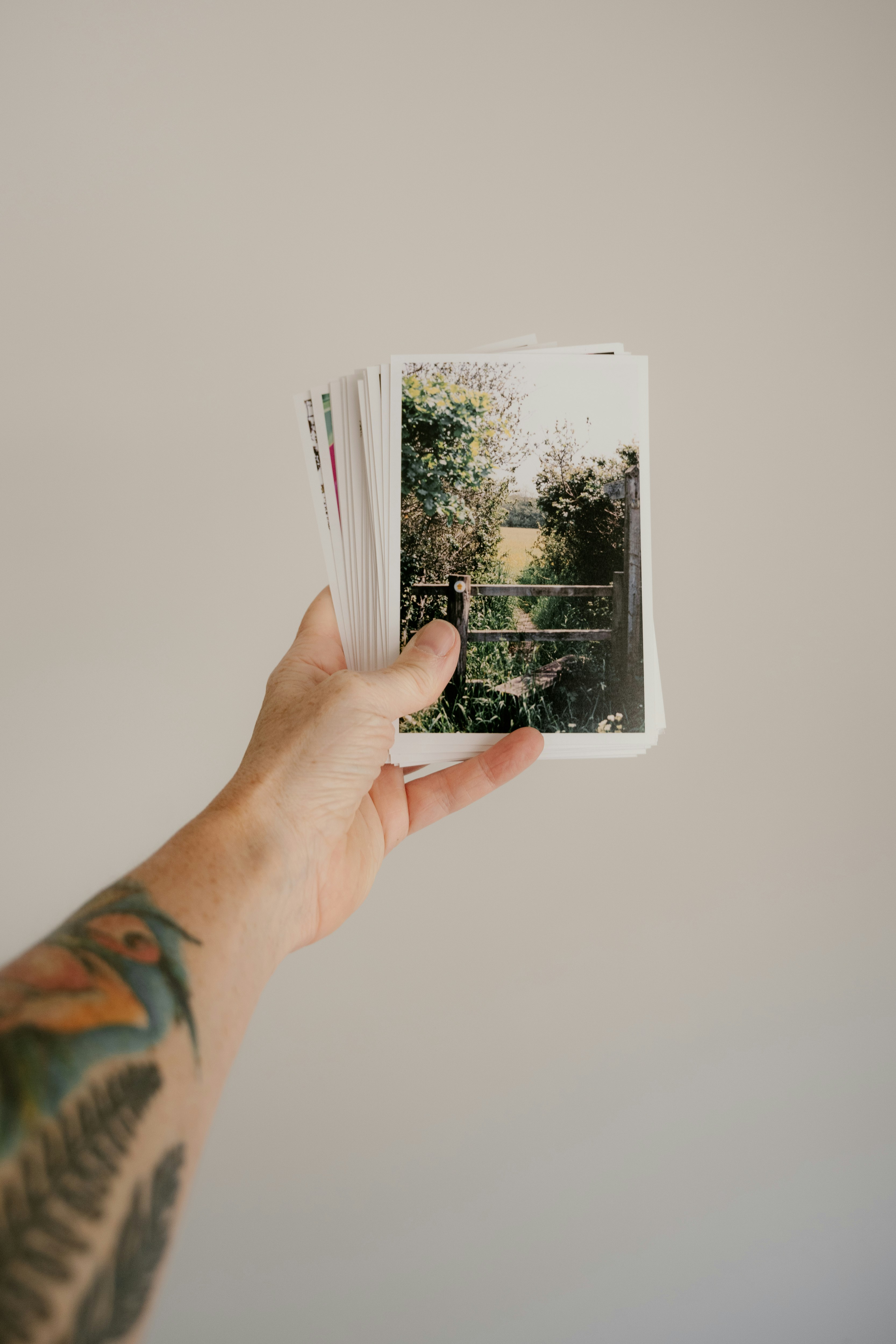 person holding white and black photo